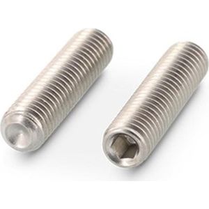 Stelschroef+Krater Din916 M3X10Mm Rvs A2 - 500 stuks