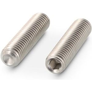Stelschroef - RVS A2 - M6x6 - 200 stuks