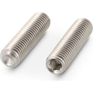 Schroeven - Stelschroeven - RVS - A2200 Stuks