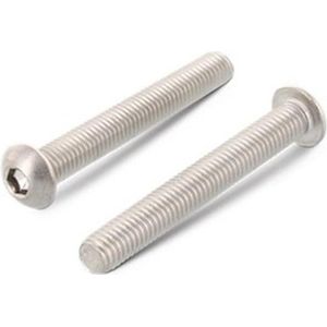 Laagbolkopbout M4 x 20 ISO 7380-1 RVS A2 (500 stuks)