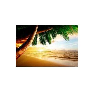 Papermoon Fototapete "Caribbean Beach Sunrise"
