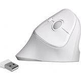 DeLOCK ergonomische draadloze USB muis met 6 knoppen - 800-1600 DPI / wit