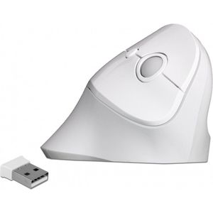 DeLOCK ergonomische draadloze USB muis met 6 knoppen - 800-1600 DPI / wit