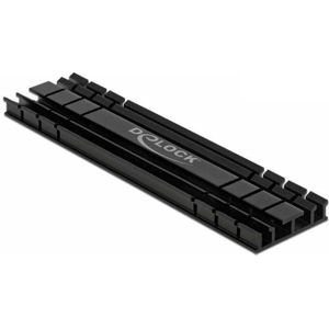 Delock - Koellichaam Plat 100 mm - Koellichaam voor Solid State Drive - Zwart - Aluminium