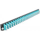 DeLOCK - Fiber Splice Box Paneel - Front - Zwart, Aquamarijn - 1U - 19"