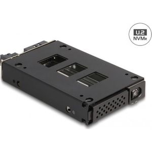 Delock - Slim Bay - Verwijderbaar Frame - 1 x 2,5 U.2 NVMe SSD - Metaal