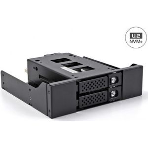 Delock - Slim Bay - Verwijderbaar Frame - Zwart - Voor 2 x 2,5? U.2 NVMe SSD