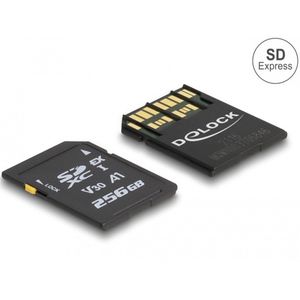 Delock - SD Express Geheugenkaart - 256 GB - PCIe - UHS-I U3 V30