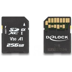 Delock SD Express geheugenkaart 256 GB (SD, 256 GB, U3, UHS-I), Geheugenkaart, Zwart