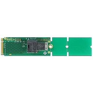 DeLOCK - Adapter M.2 Key M naar SFF-8643 - Interface Adapter - M.2 - U.2 NVMe