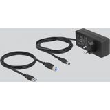 DeLOCK USB hub met 10 poorten en aan/uit schakelaars - USB3.0 - externe 12V voeding / grijs - 1 meter