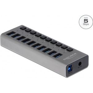 DeLOCK USB hub met 10 poorten en aan/uit schakelaars - USB3.0 - externe 12V voeding / grijs - 1 meter