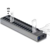 DeLOCK USB hub met 16 poorten en aan/uit schakelaars - USB3.0 - externe 12V voeding / grijs - 1 meter