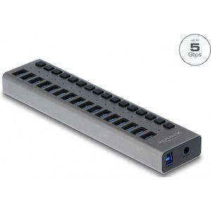 DeLOCK USB hub met 16 poorten en aan/uit schakelaars - USB3.0 - externe 12V voeding / grijs - 1 meter
