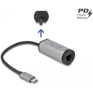 Delock - Netwerkadapter - Grijs - USB-C naar Gigabit LAN met Power Delivery
