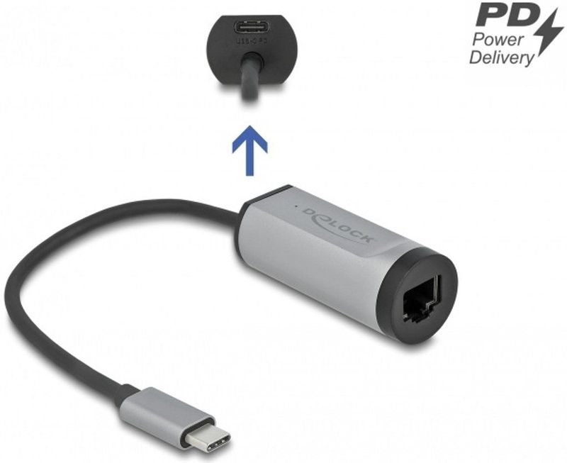 Delock - Netwerkadapter - Grijs - USB-C naar Gigabit LAN met Power Delivery