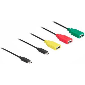 Delock - 4 Port USB 2.0 Hub - USB Type-C™ naar 3 x USB-A + 1 x USB-C™