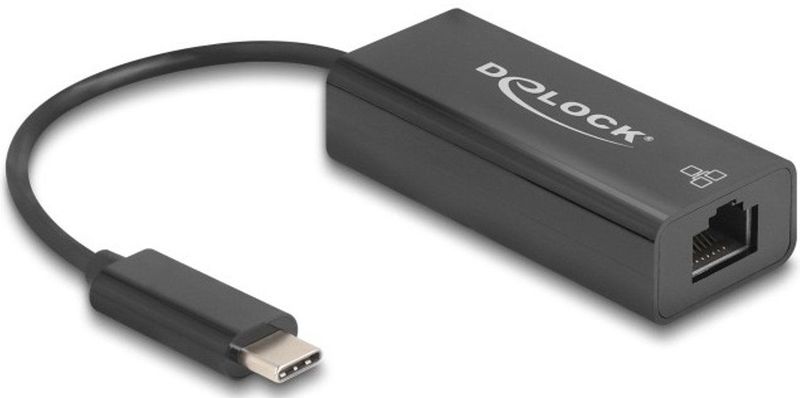 Delock - USB 2.0 Type-C Adapter - Zwart - Netwerkadapter - 10/100 Mbps LAN