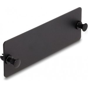 Delock - Glasvezel Blindpaneel - Zwart - Voor 19 Inch Glasvezel HD Patchpaneel