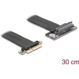 DeLOCK 81506 interfacekaart/-adapter Intern U.2