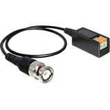 Delock - Kabel BNC Stekker - Terminalblock 2 Pin - 30 cm - Zwart