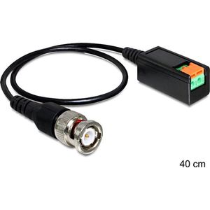 Delock - Kabel BNC Stekker - Terminalblock 2 Pin - 30 cm - Zwart