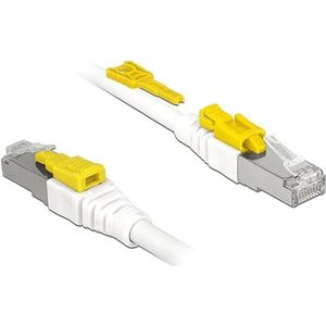 DeLOCK Patchkabel RJ-45 Secure met Cat.6a kabel 85332, 2 meter