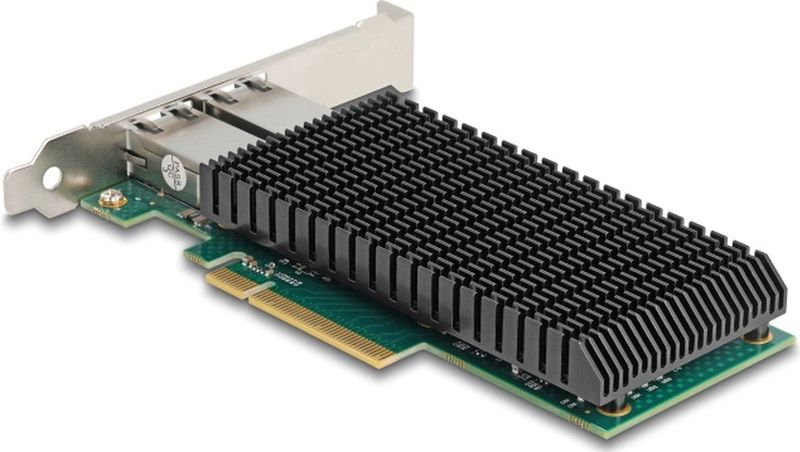 Delock - 88522 - Netwerkkaart - Intern - Ethernet 10000 Mbit/s