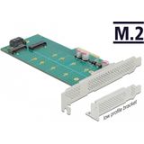 Delock - PCI Express x4 Kaart - Low Profile Form Factor - 1 x M.2 Key B + 1 x NVMe M.2 Key M