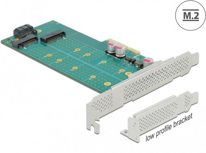 Delock - PCI Express x4 Kaart - Low Profile Form Factor - 1 x M.2 Key B + 1 x NVMe M.2 Key M