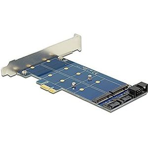 Delock - PCI Express x1 Slot - Storage Controller - Zwart - Voor M.2 NGFF-modules