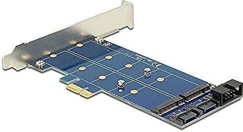 Delock - PCI Express x1 Slot - Storage Controller - Zwart - Voor M.2 NGFF-modules