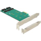 Delock - 89473 - PCI Express Kaart - Intern - 2 x M.2 Sleutel B