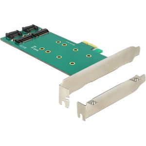 Delock - 89473 - PCI Express Kaart - Intern - 2 x M.2 Sleutel B
