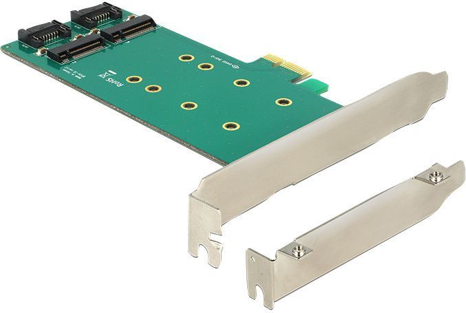 Delock - 89473 - PCI Express Kaart - Intern - 2 x M.2 Sleutel B
