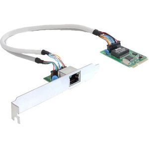 DeLOCK - 95228 - Mini PCI Kaartadapter - Geen Kleur - 1 x Gigabit LAN