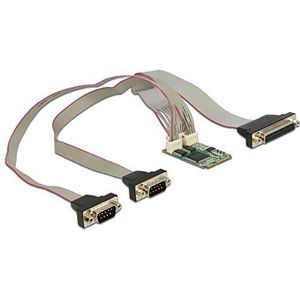 Delock - MiniPCIe-adapter - 2 Seriële Interfaces - 1 Parallelle Interface - PCI Express