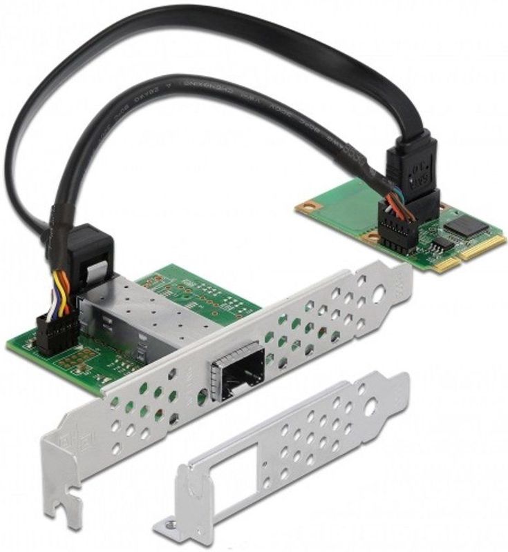 Delock - Mini PCIe I/O - Netwerkkaart - Gigabit LAN - PCI-Express