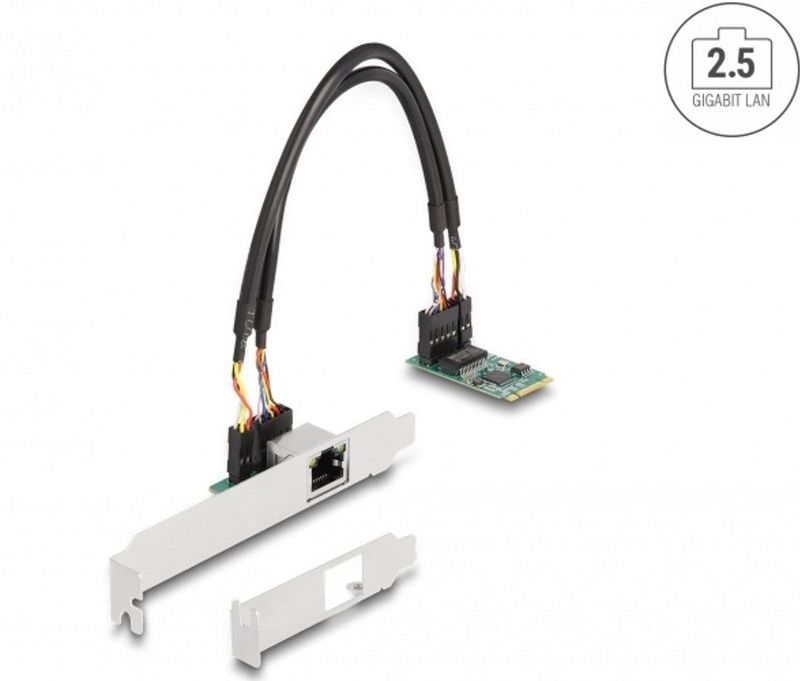 DeLOCK - 95272 - Netwerkkaart - Intern - 2.5 Gigabit LAN - PCIe 2.0