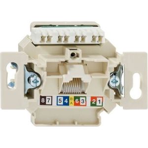 Rutenbeck Netwerk / Telefoon basiselement ENKEL Cat.6 (standaard)