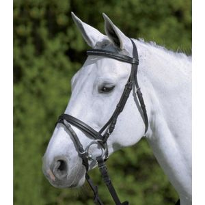 Star Hoofdstel Star Zwart - Rijbenodigdheden - Pony