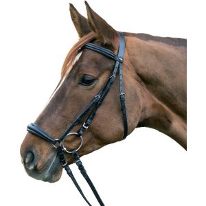 Waldhausen STAR hoofdstel Hannover Pony Zwart