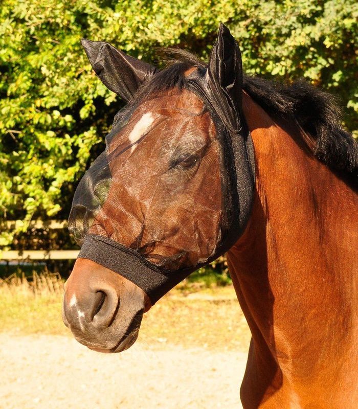 Waldhausen Fliegenmaske Skinny schwarz (Pony)