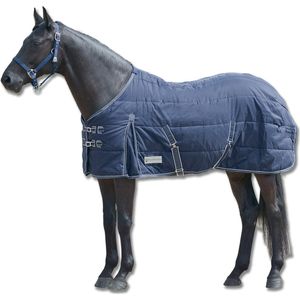 ECONOMIC Stable Rug, 100 G