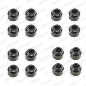 PAYEN Klepsealset OPEL,FORD,BMW HR5048 09158057,1350530058,MR984262 642500,9158057