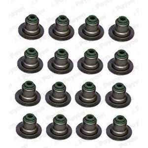Pakkingset, klepsteel PAYEN HR5082