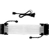 Sharkoon - SHARK XTend 24 - Verlengkabel - RGB - 24-pins Aansluiting, 24,5 cm Lengte