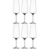 Sektgläser Leonardo Cesti 240 ml (6-teilig)