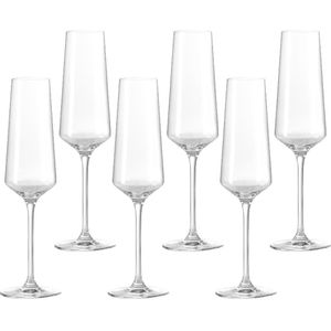 LEONARDO PUCCINI - Champagneglas - Helder - 6 Stuks