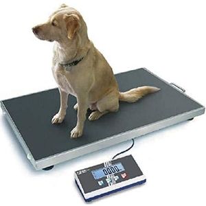 Kern EOS 300K100XL Platformweegschaal Weegbereik (max.) 300 kg Resolutie 100 g Zilver